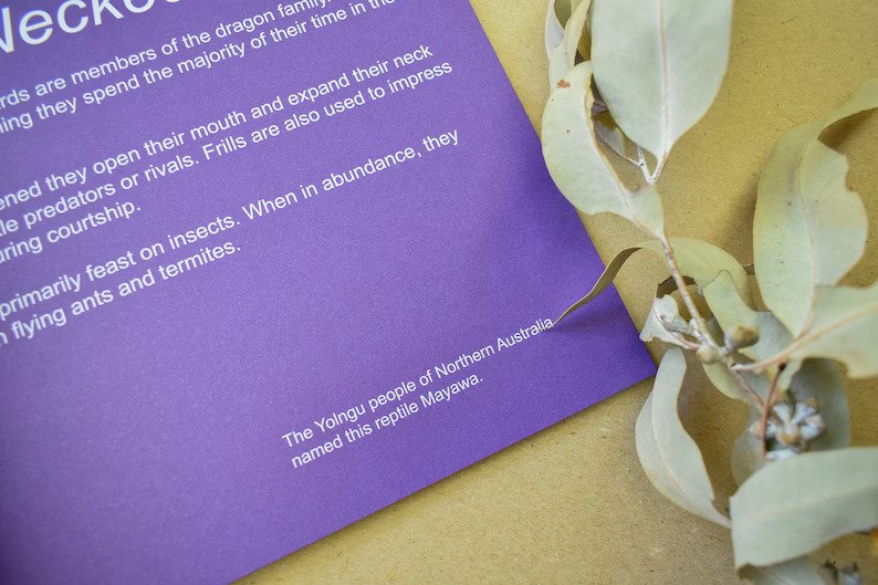 Australian Animal A-Z Book - Non-Fiction Animal Fact Book for Children and Adults books