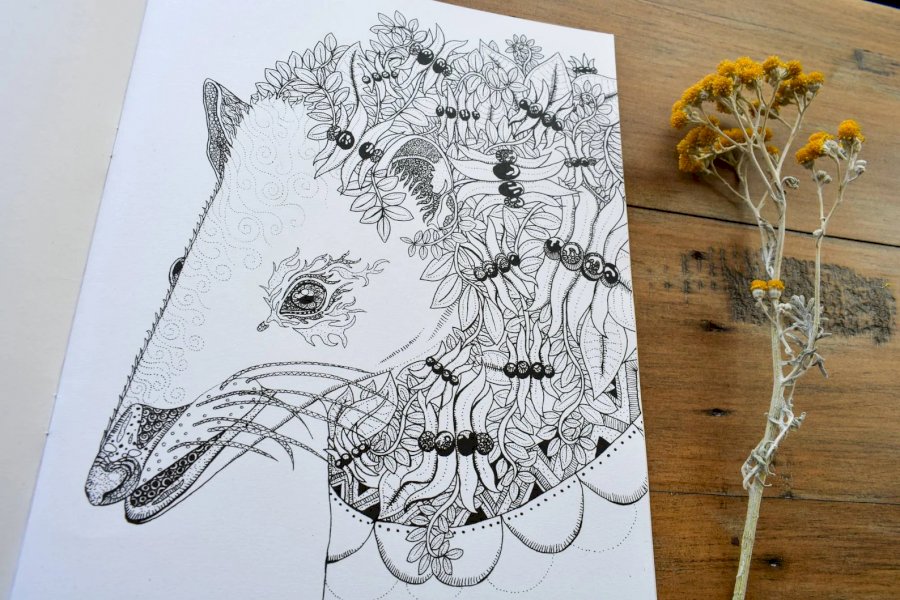 Australian Native Animal Colouring Bookbooks