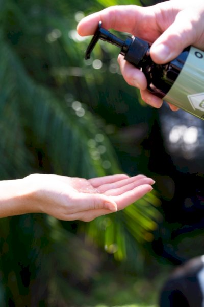 Natural Non Toxic Dog Shampoodog