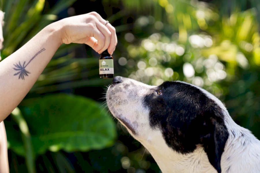Relax Essential Oil Blenddog