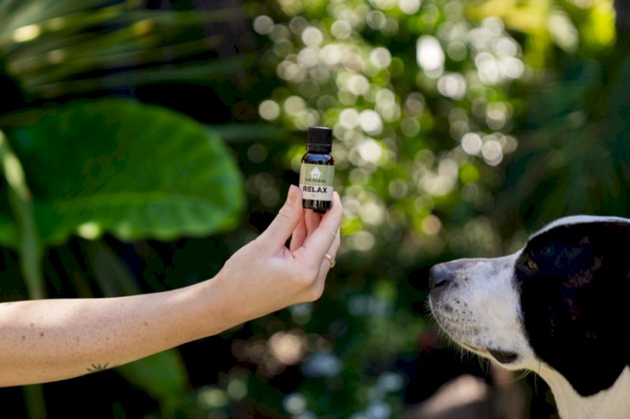 Relax Essential Oil Blenddog