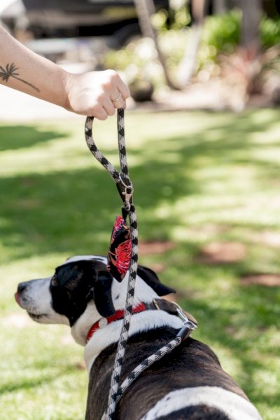 Doggie Poo Bag Holderdog