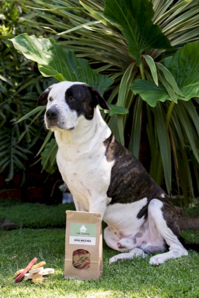 Dog Biccies - Mixed bagdog